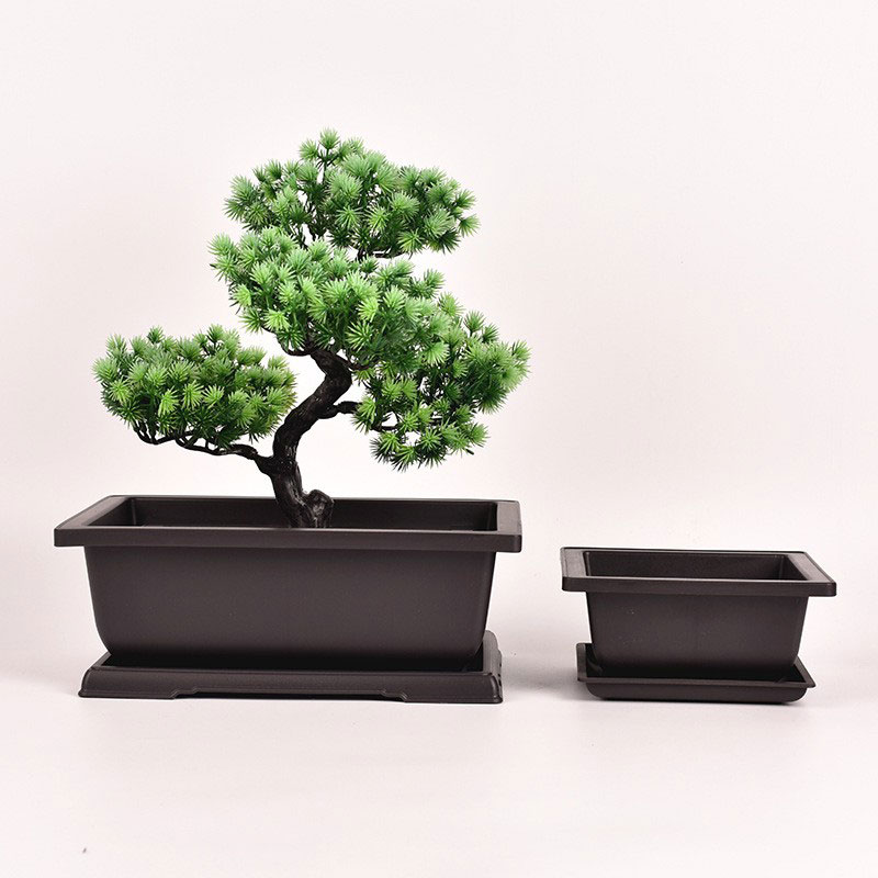 Ghiveci dreptunghiular Bonsai